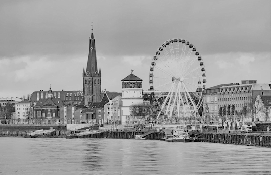 fortis duesseldorf